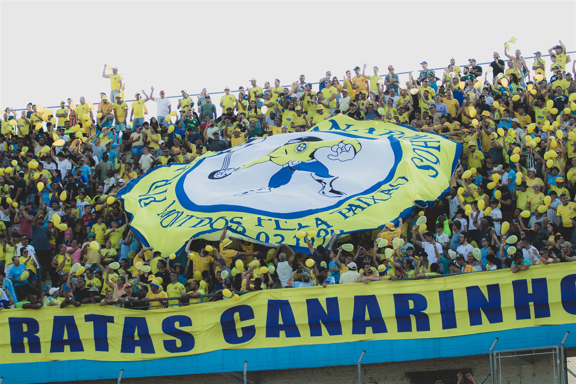 AEA Araçatuba – torcida