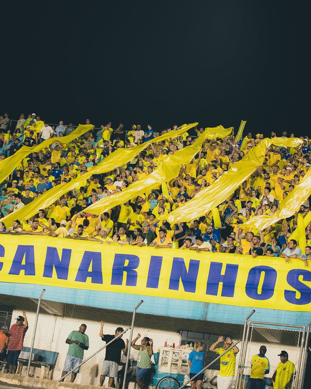 AEA Araçatuba – memória